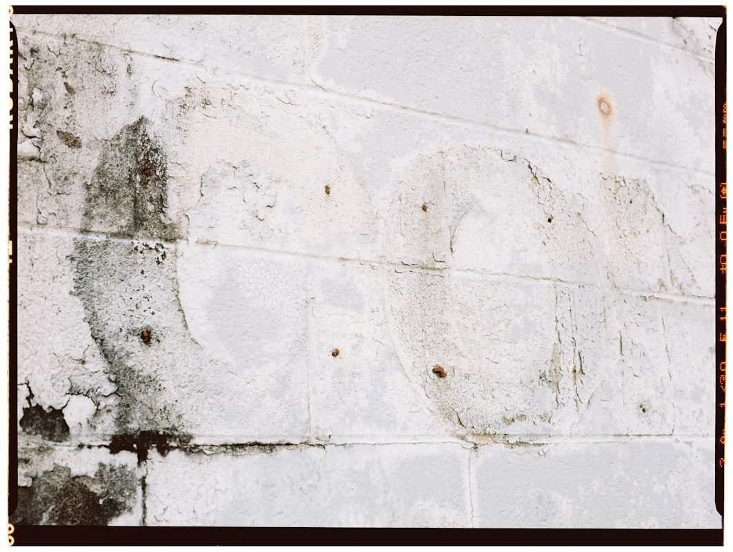 Storm Damage Repair service in Burbank, CA