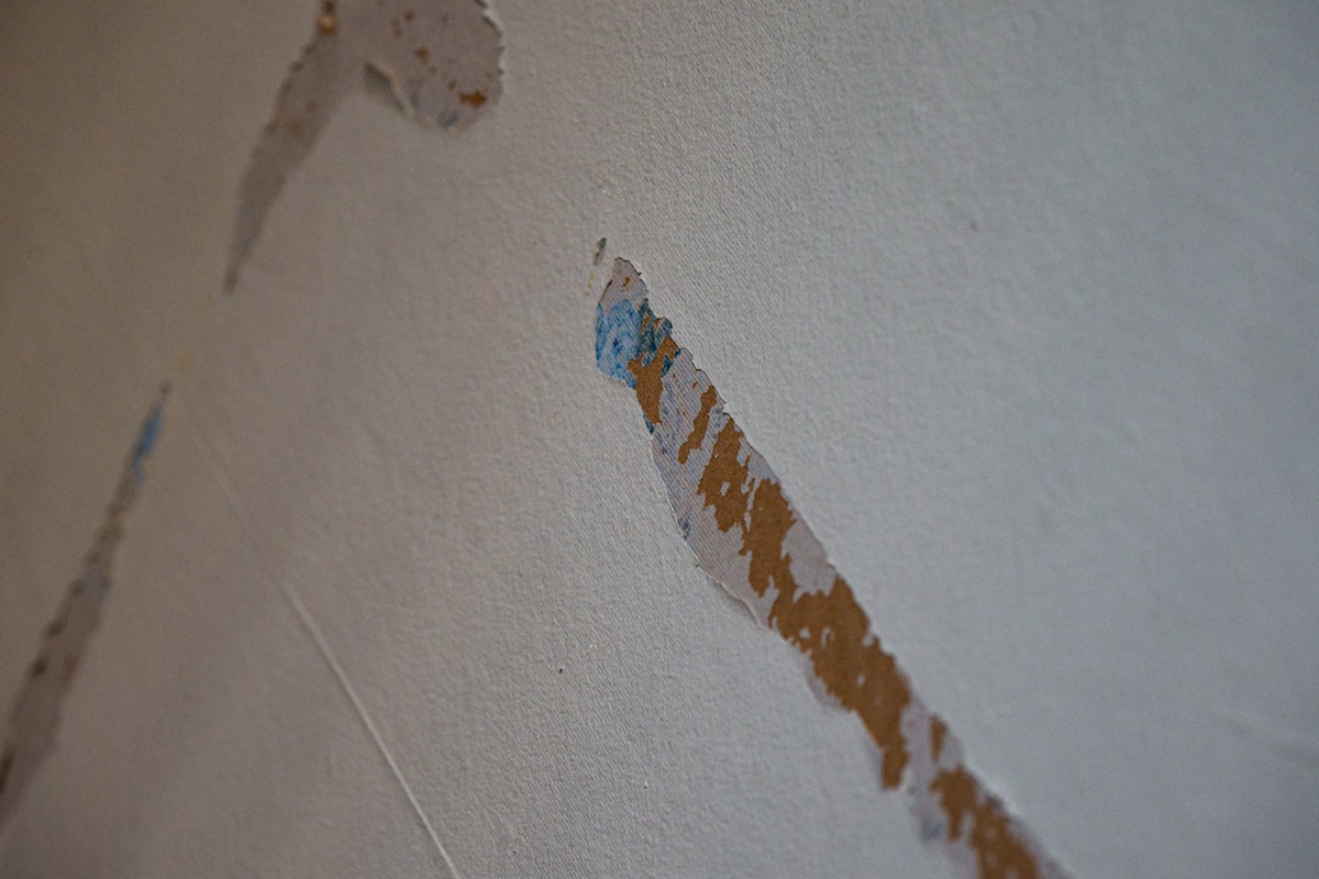 Structural Drying service in Burbank, CA